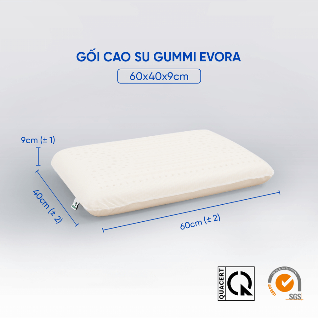 Gối cao su thiên nhiên Gummi Evora 60x40x9cm thiết kế rãnh massage độc đáo thư giãn tối đa hàng chính hãng Vua Nệm