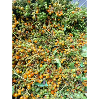 1kg hạt xạ đen khô, thơm, sạch