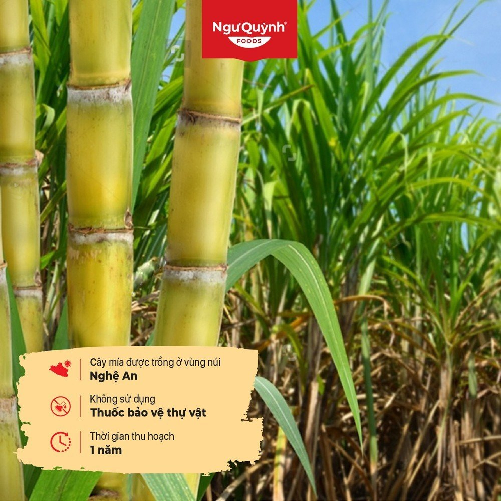 ĐƯỜNG PHÈN MẬT MÍA KẾT TINH 100% TỰ NHIÊN NGUYÊN CHẤT - CÓ CHỨNG NHẬN VSATTP – 500gram