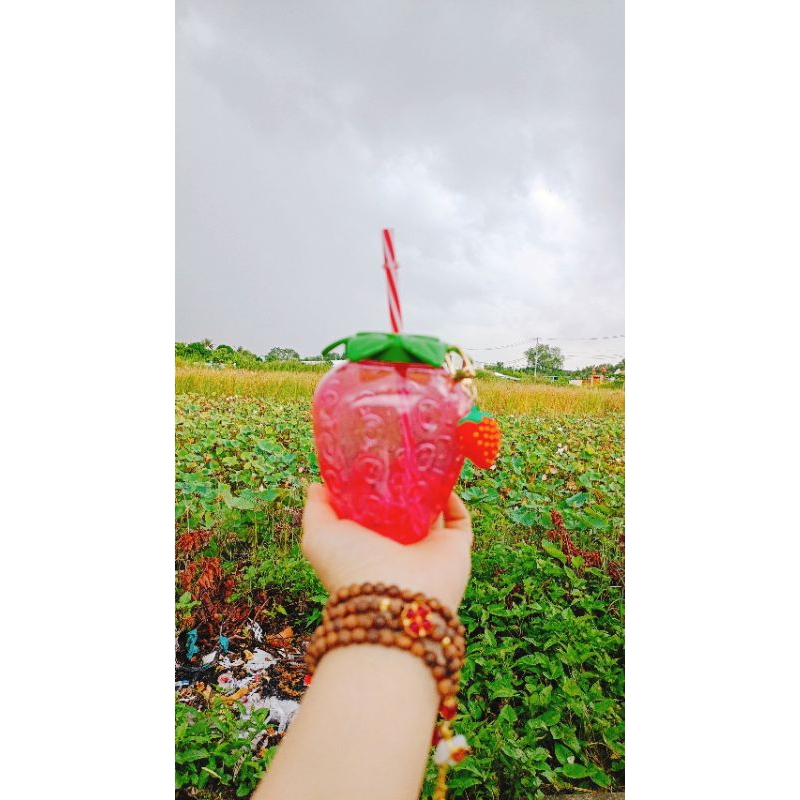 Bình Nước Trái Dâu 🍓🍓