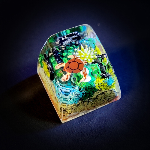 Coral keycap, keycap san hô , nút bàn phím cơ cảnh san hô, profile SA , artisan keycap