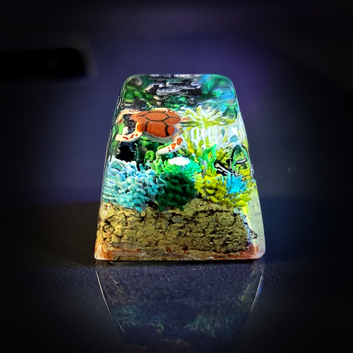 Coral keycap, keycap san hô , nút bàn phím cơ cảnh san hô, profile SA , artisan keycap