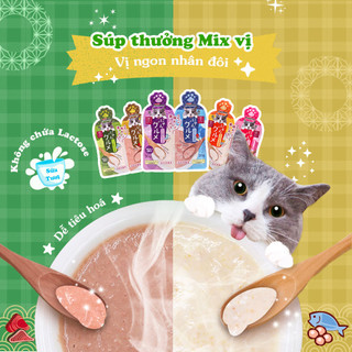 Súp thưởng Mix vị CattyMan dành cho mèo cưng.