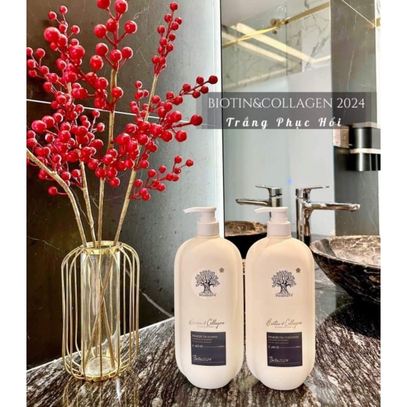 DẦU CẶP VISI 2024