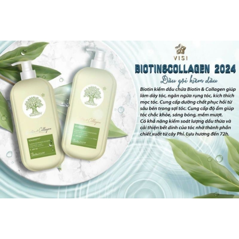 DẦU CẶP VISI 2024