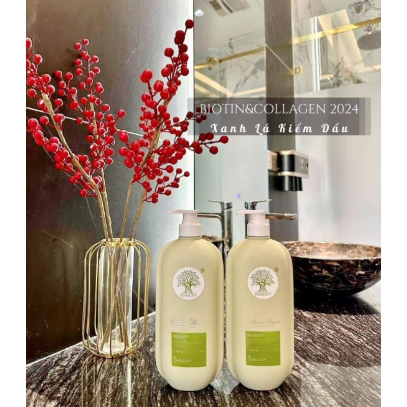 DẦU CẶP VISI 2024