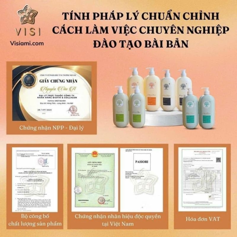 DẦU CẶP VISI 2024