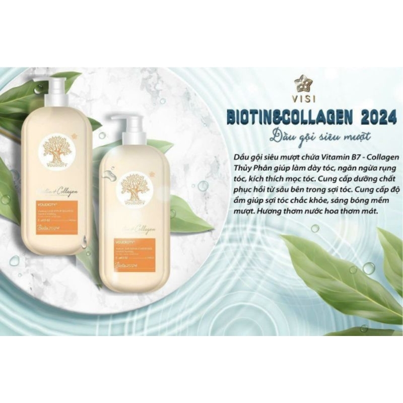 DẦU CẶP VISI 2024