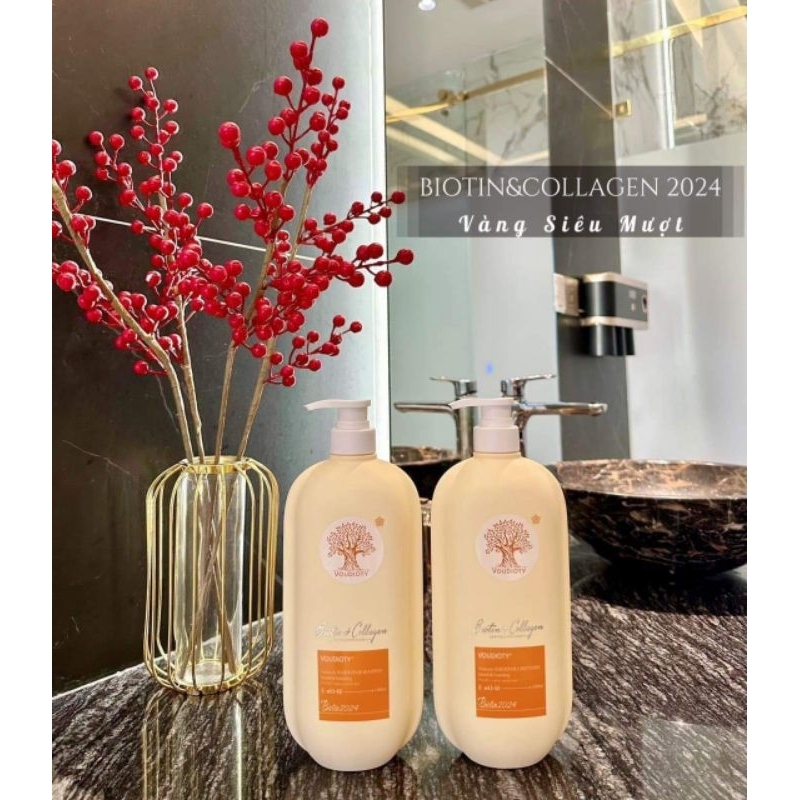 DẦU CẶP VISI 2024