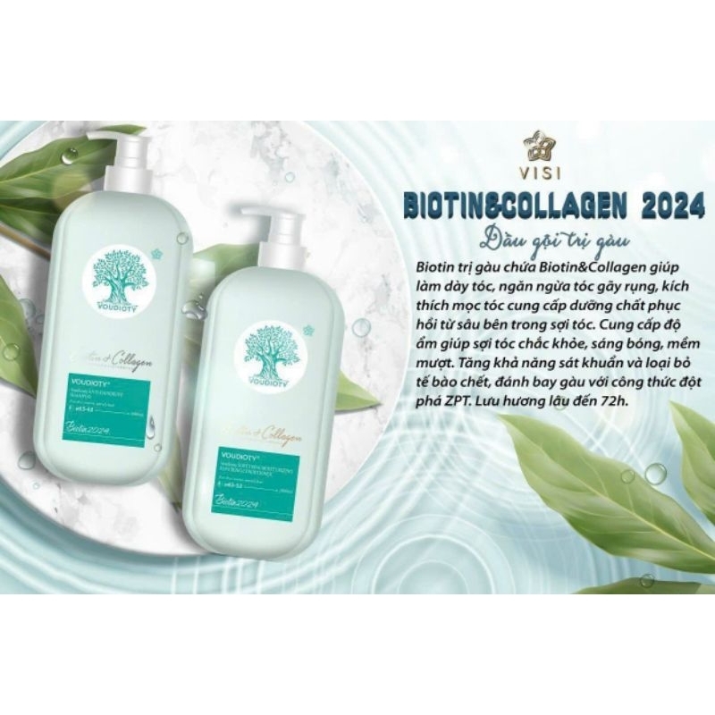 DẦU CẶP VISI 2024