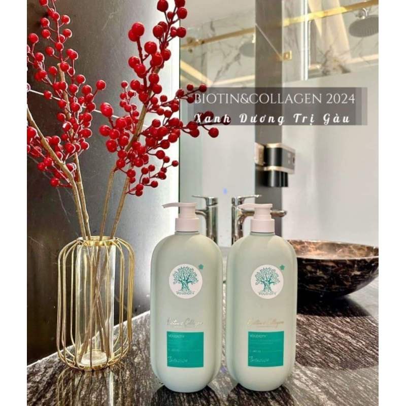 DẦU CẶP VISI 2024