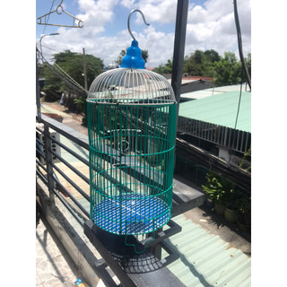 Combo 5 lồng Lồng nhúng nhựa Nuôi Chim Hút mật,ốc mít,Chim Sâu,Khuyên ,Lồng Tròn Màu Sơn Tĩnh Điện Nuôi Nhiều Loại Chim