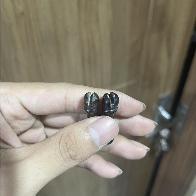 Đầu cầu chim khuyên , hút mật hàng sừng nguyên chất dài 4cm