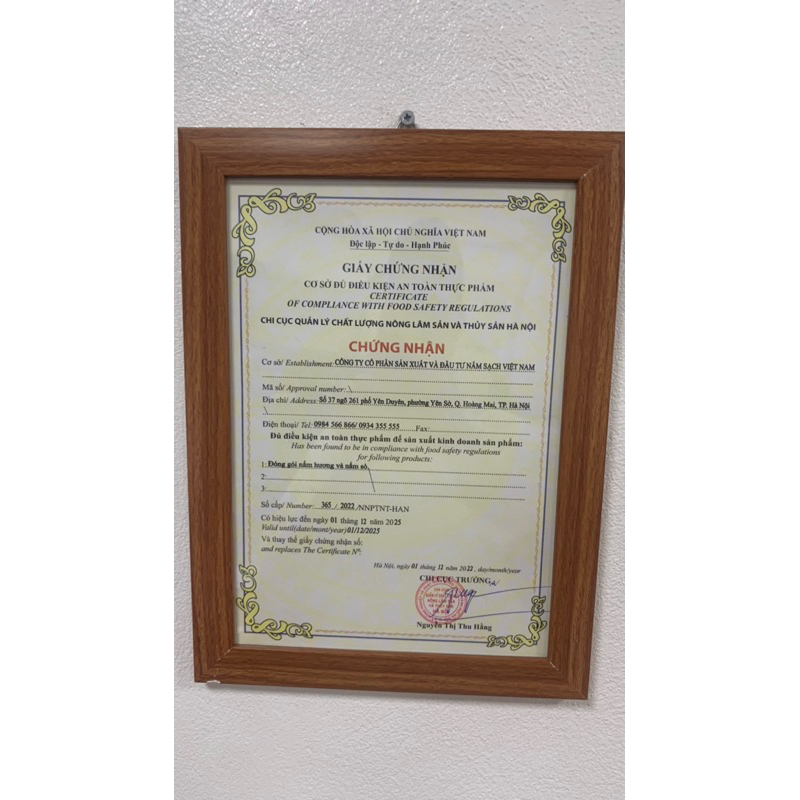 Nấm Ăn Lẩu - Nấm Sò Nâu / Trắng  | Nấm Sạch Việt Nam