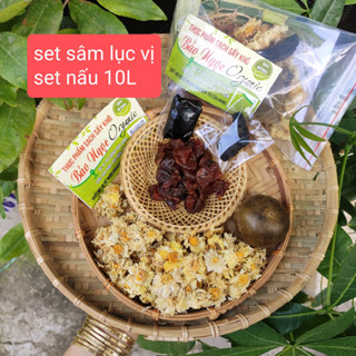 Set sâm lục vị Atiso , set nấu 10L nước