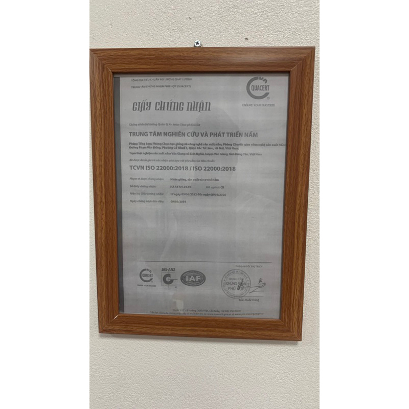 Măng tây 500gr - Nấm Sạch Việt Nam