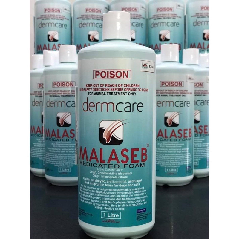 Sữa tắm DERMCARE MALASEB ngăn ngừa nấm da, viêm da, dị ứng cho chó mèo 100ml