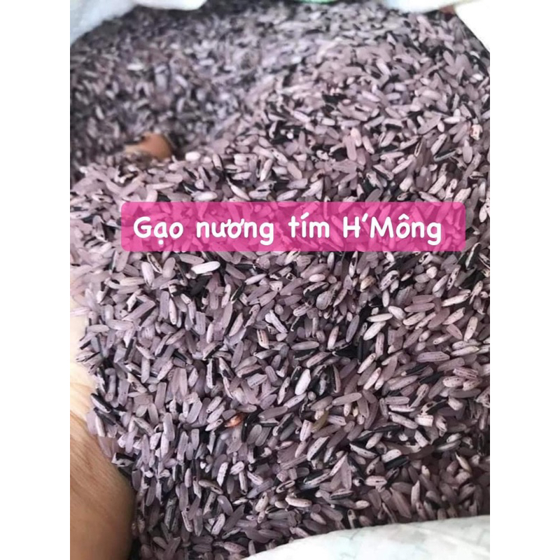 Gạo Nương tím Hmong