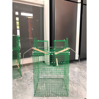 Lồng Bẫy Chim Sẻ Tự Động (TẶNG:1 đôi cóng nhựa)