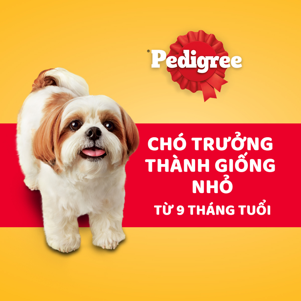 Thức ăn chó Mini Pedigree vị bò, cừu & rau củ túi 1.3kg