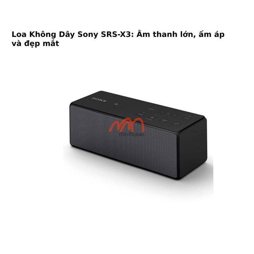 Loa Không Dây Sony SRS-X3