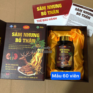 Sâm nhung bổ thận Cordycep Oyster Max Gold - Sâm Nhung Bổ thận Nam Nữ giảm chứng thận hư thận yếu, tiểu đêm