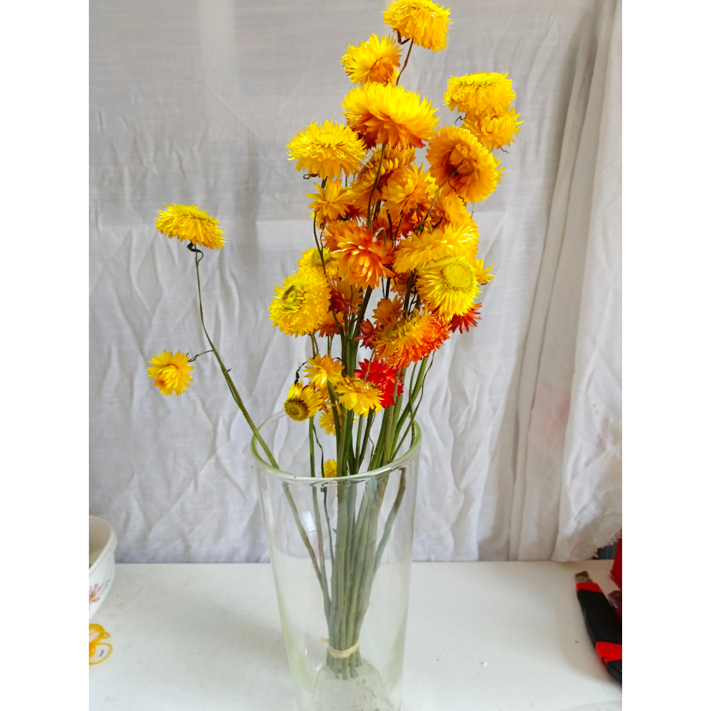 Hoa khô - bó hoa cúc bất tử - 20 bông