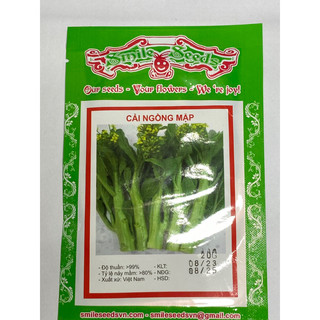 Hạt giống Cải Ngồng Mập 20gr ~4000 Hạt