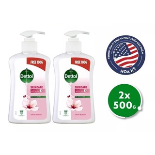 Combo 02 chai nước rửa tay Dettol Kháng khuẩn Chăm sóc da 500g/250g/chai