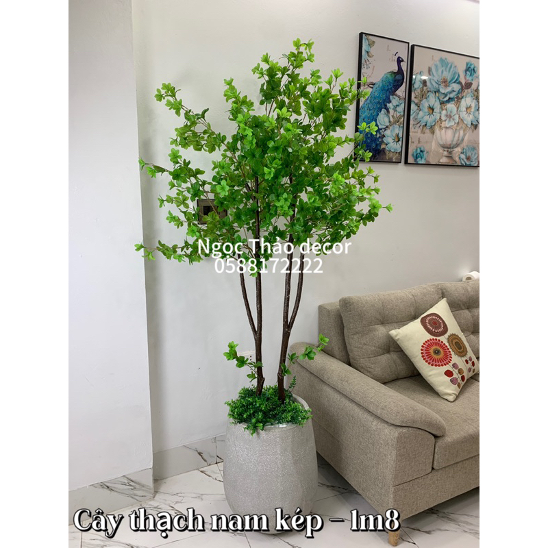 Các mẫu thạch nam cao su giả, cây giả trang trí