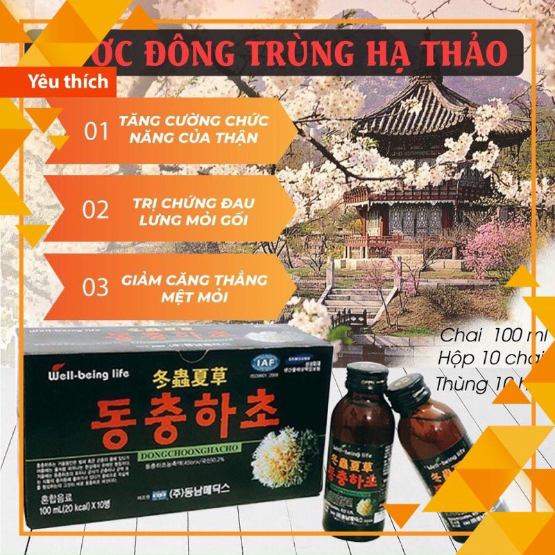 Nước Đông trùng hạ Thảo chai 100ml Well bẹing