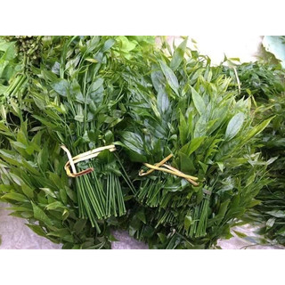 CÂY RAU NGÓT RỪNG( RAU SẮNG)