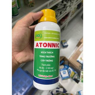 Antonic kích thích sinh trưởng
