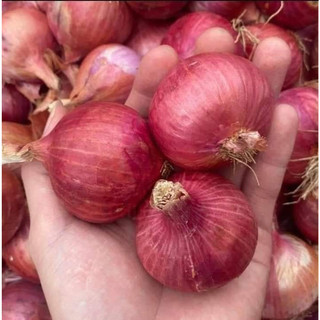 Hành khô một nhánh, chanh, tỏi, ớt, sả