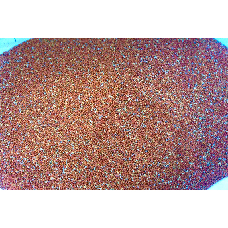 1kg hạt kê đỏ nhỏ cho chim cảnh