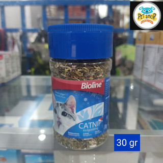 Lon Catnip Dạng Cỏ Chất Lượng Cao Cho Mèo Cưng