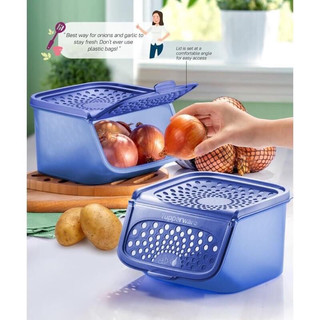 Hộp bảo quản hành tỏi garlic