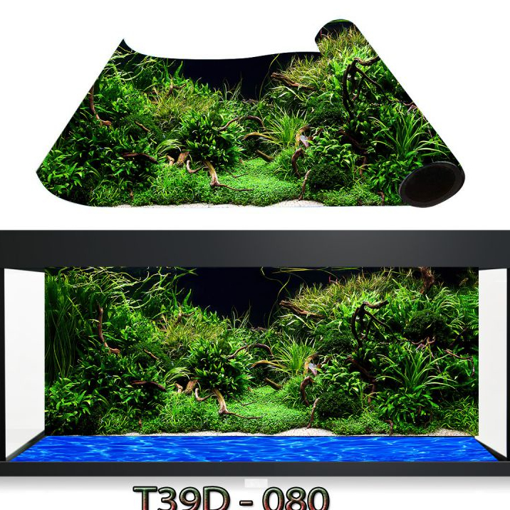 Tranh 3D Bể Cá Cảnh - Tranh Bể Cá Thủy Sinh Có Sẵn Keo Dán, Tặng Kèm Bộ Dụng Cụ