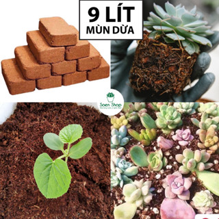 9 LÍT - Đất Nén Hữu Cơ mùn dừa, xơ dừa hữu cơ dạng viên đã qua xử lý dùng trồng tùng thơm, hoa cảnh, đất trộn cho sen đá