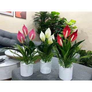 cây lan ý giả decor - 50cm - hoa giả trang trí - hoa nhân tạo