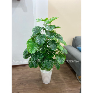 CÂY GIẢ - CÂY TRẦU BÀ LÁ XẺ 1m3 54 lá