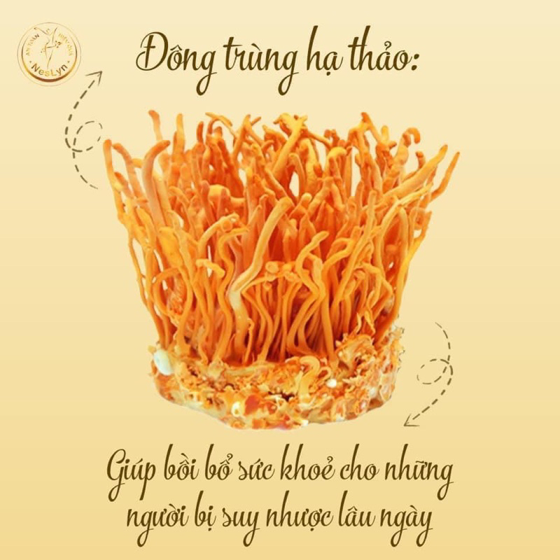 Viên ăn ngon Neslyn chính hãng hỗ trợ tiêu hoá hấp thu tốt, giúp ăn ngon ngủ ngon, cải thiện cân nặng.