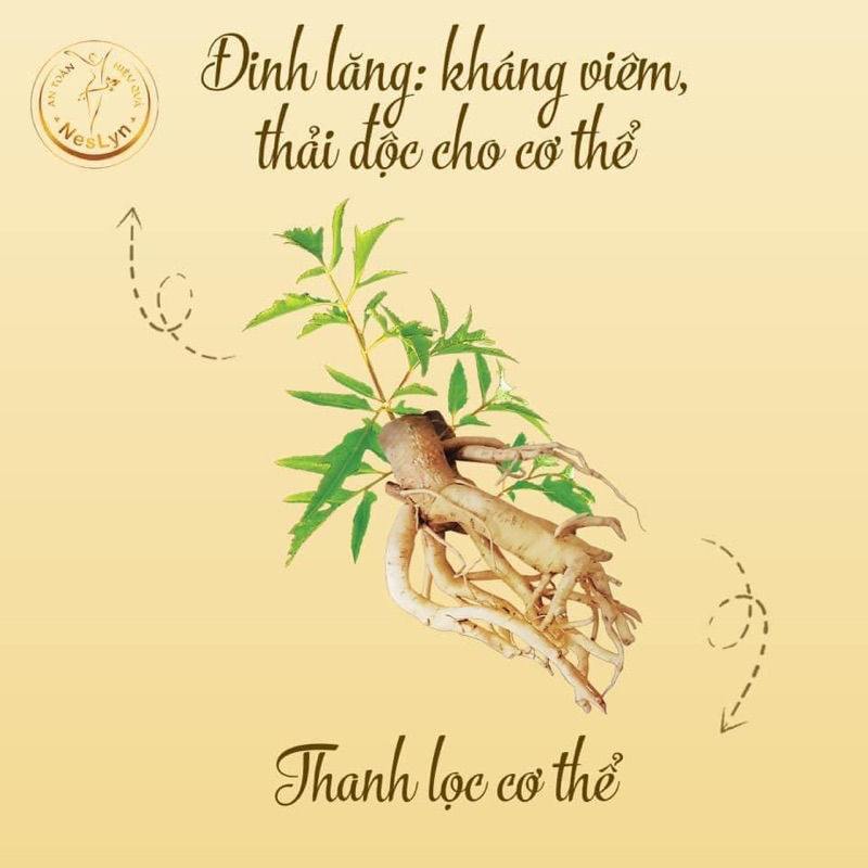 Viên ăn ngon Neslyn chính hãng hỗ trợ tiêu hoá hấp thu tốt, giúp ăn ngon ngủ ngon, cải thiện cân nặng.