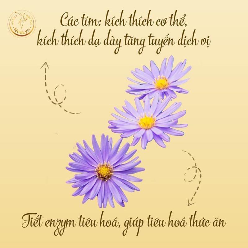 Viên ăn ngon Neslyn chính hãng hỗ trợ tiêu hoá hấp thu tốt, giúp ăn ngon ngủ ngon, cải thiện cân nặng.