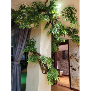 Dây leo thân gỗ cây muồng giả trang trí decor nhà quán cafe siêu đẹp