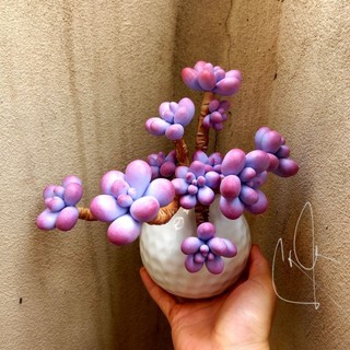 Sỏi tím đẹp