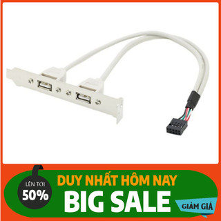 Bộ chia 2 cổng usb từ chân cắm 9 pin mainboard