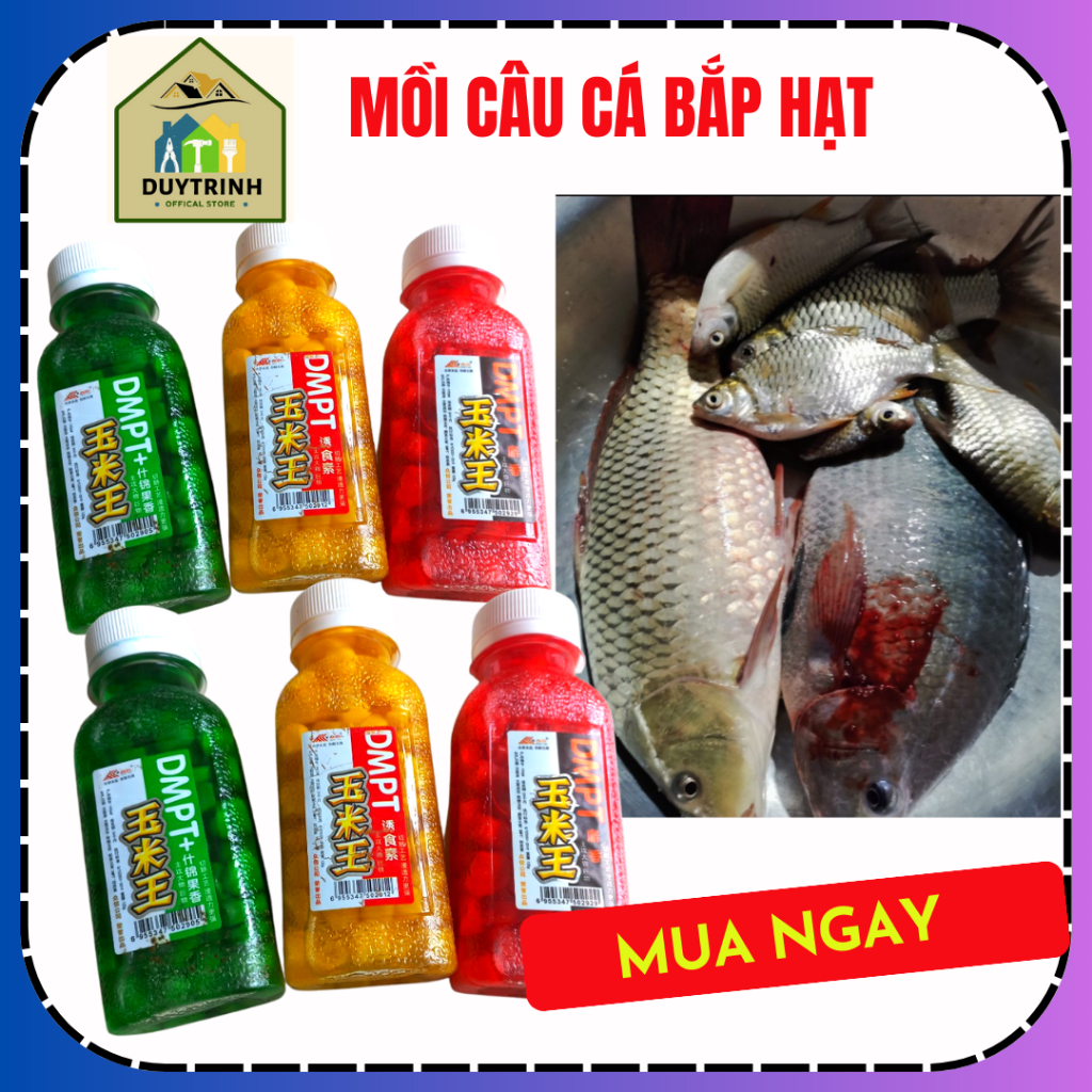 Mồi bắp hạt câu cá , mồi bắp hạt,mồi bắp vương câu cá trắm , cá trôi, cá chép, cá rô phi, ngô ngâm c
