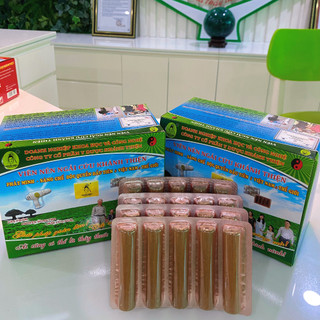 Viên Ngải Cứu Hộp Khánh Thiện- Hộp 50 viên- Dùng Cho Máy Cứu Ngải