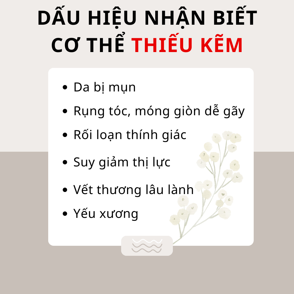 Viên uống VTM bổ sung Kẽm ZinC hỗ trợ tăng cường sức đề kháng